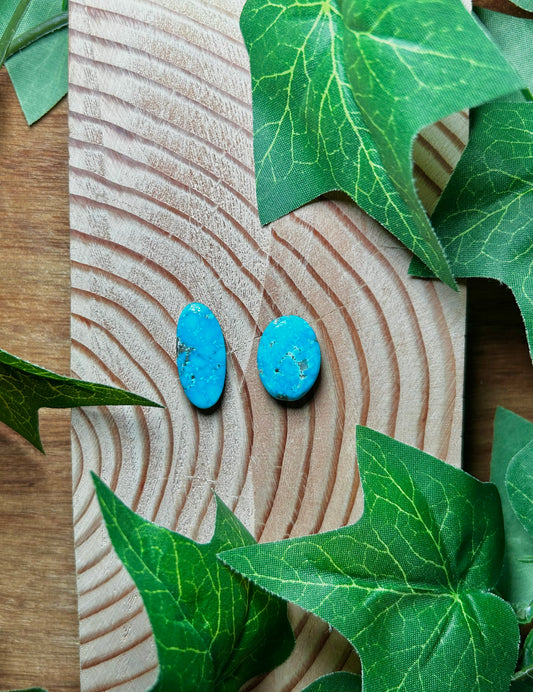 Blue Bird Turquoise Cabs