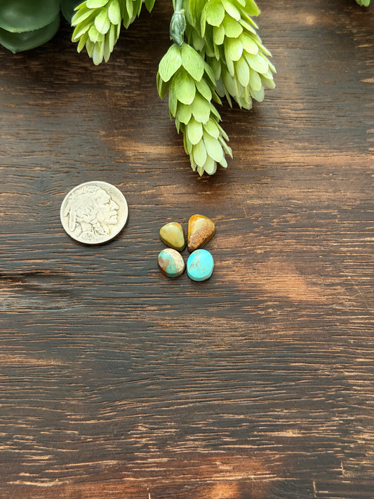 Evans Turquoise Cabs