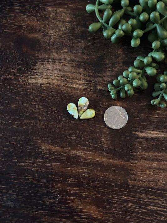 Palomino Variscite Cabs