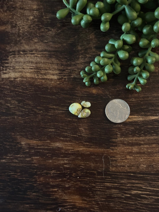 Palomino Variscite Cabs
