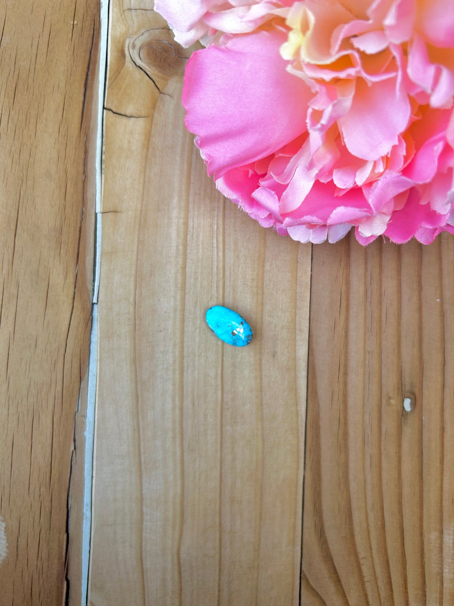 Blue Bird Turquoise Cabs