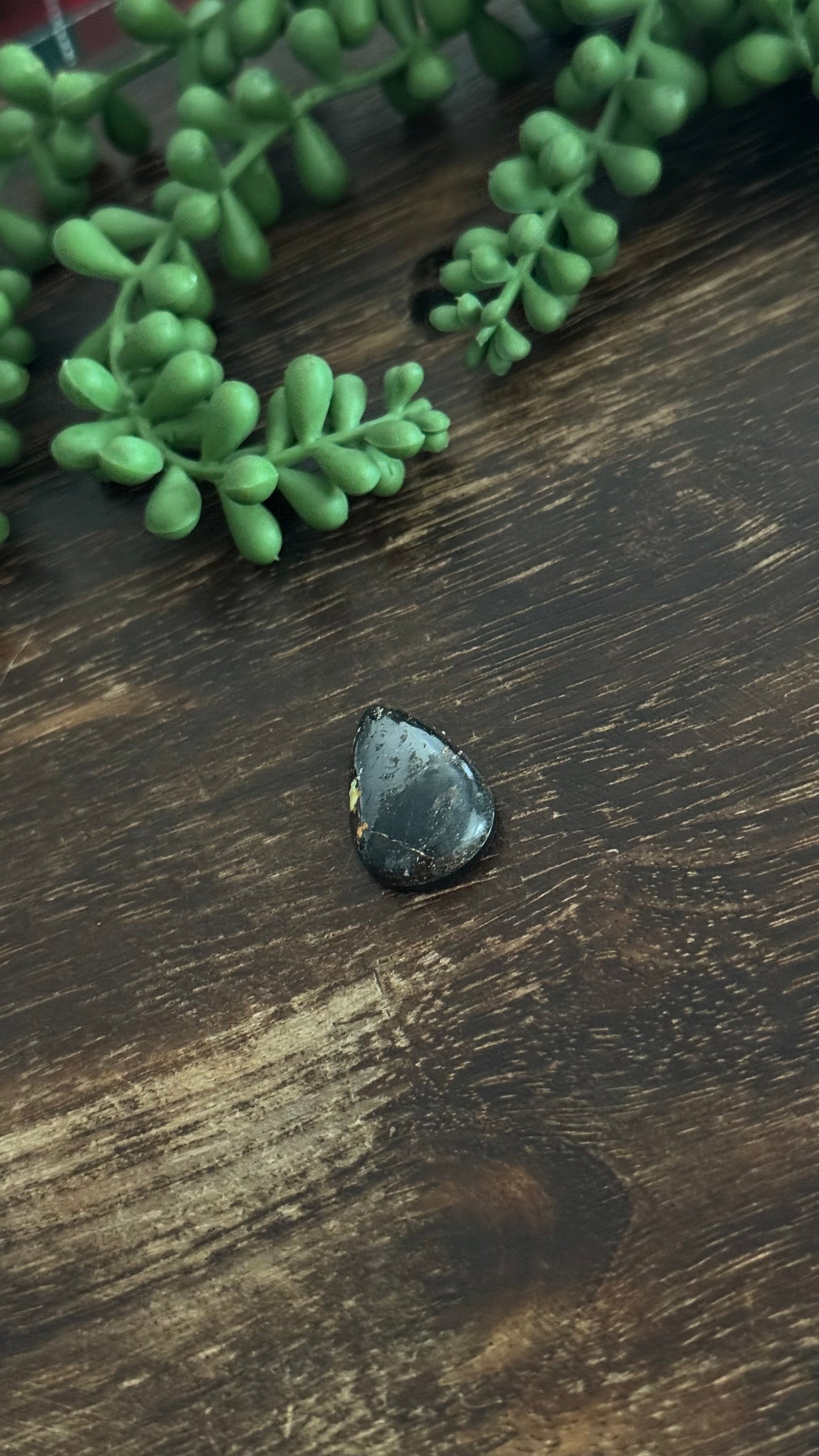 Black Jack Turquoise Cab