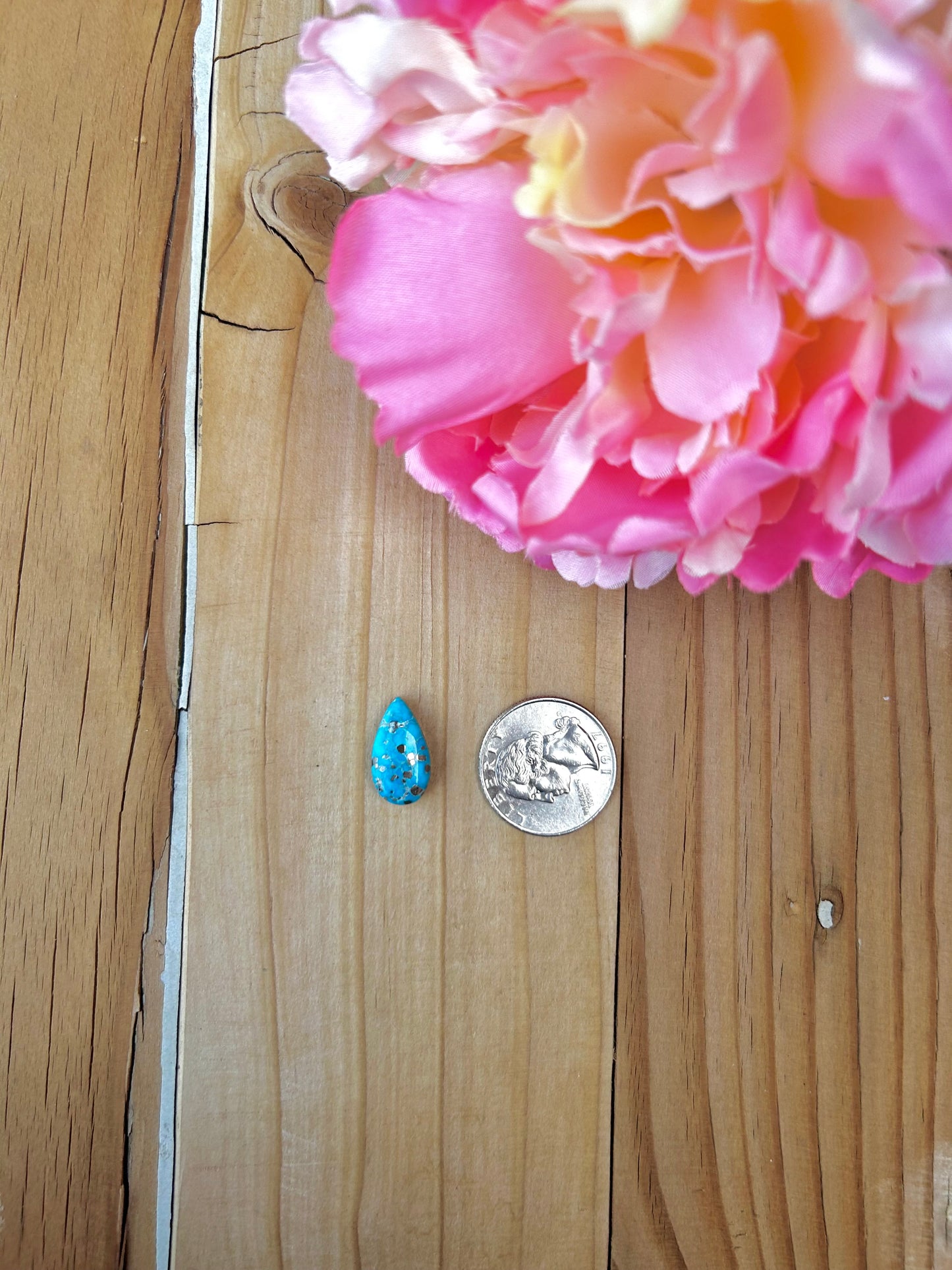Blue Bird Turquoise Cabs