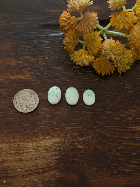 Paloma Variscite Cabs