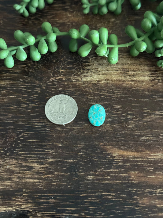 Kingman Turquoise Cab