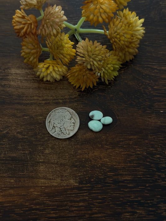 Paloma Variscite Cabs