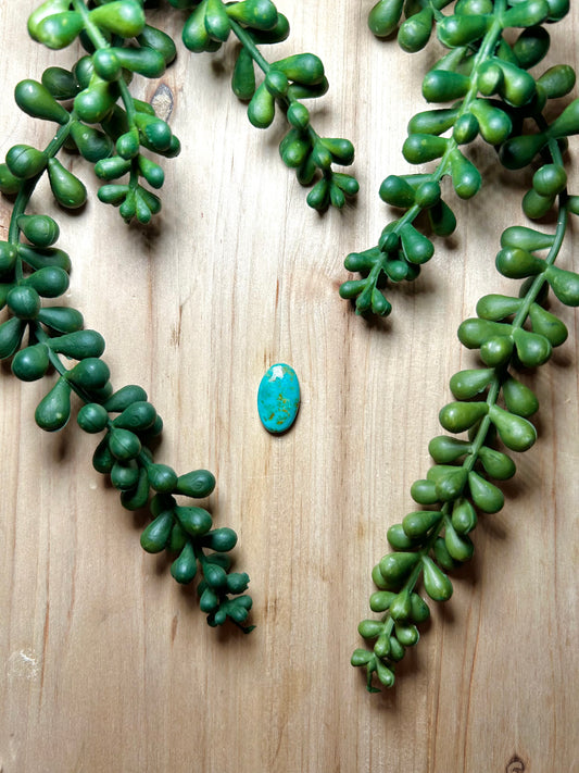 Kingman Turquoise Cab