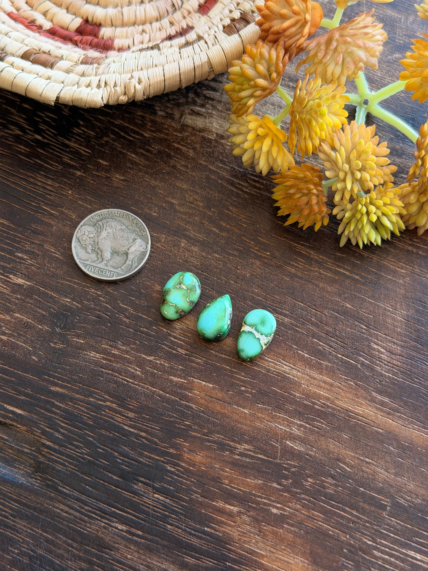 Sonoran Mountain Turquoise Cabs