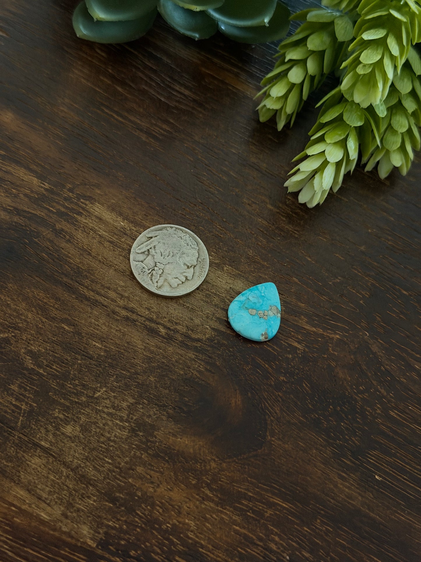 Blue Bird Turquoise Cab