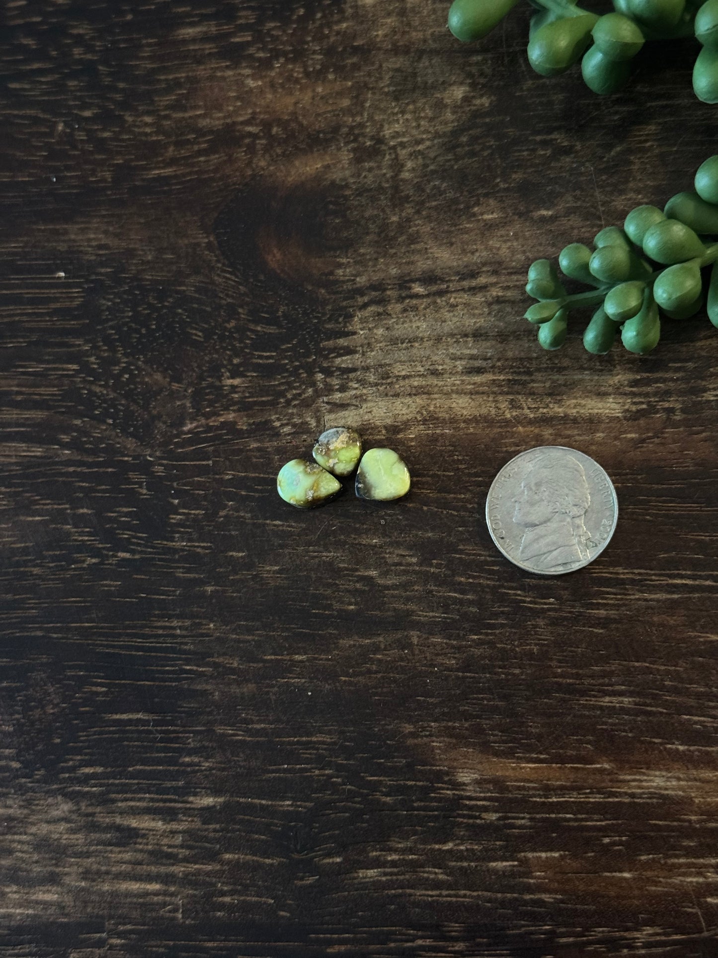 Palomino Variscite Cabs
