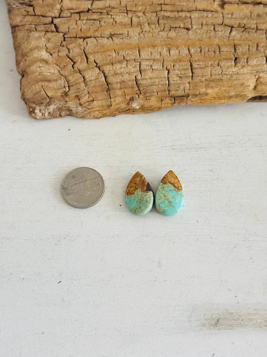 #8 Turquoise Earring Pair Cabs