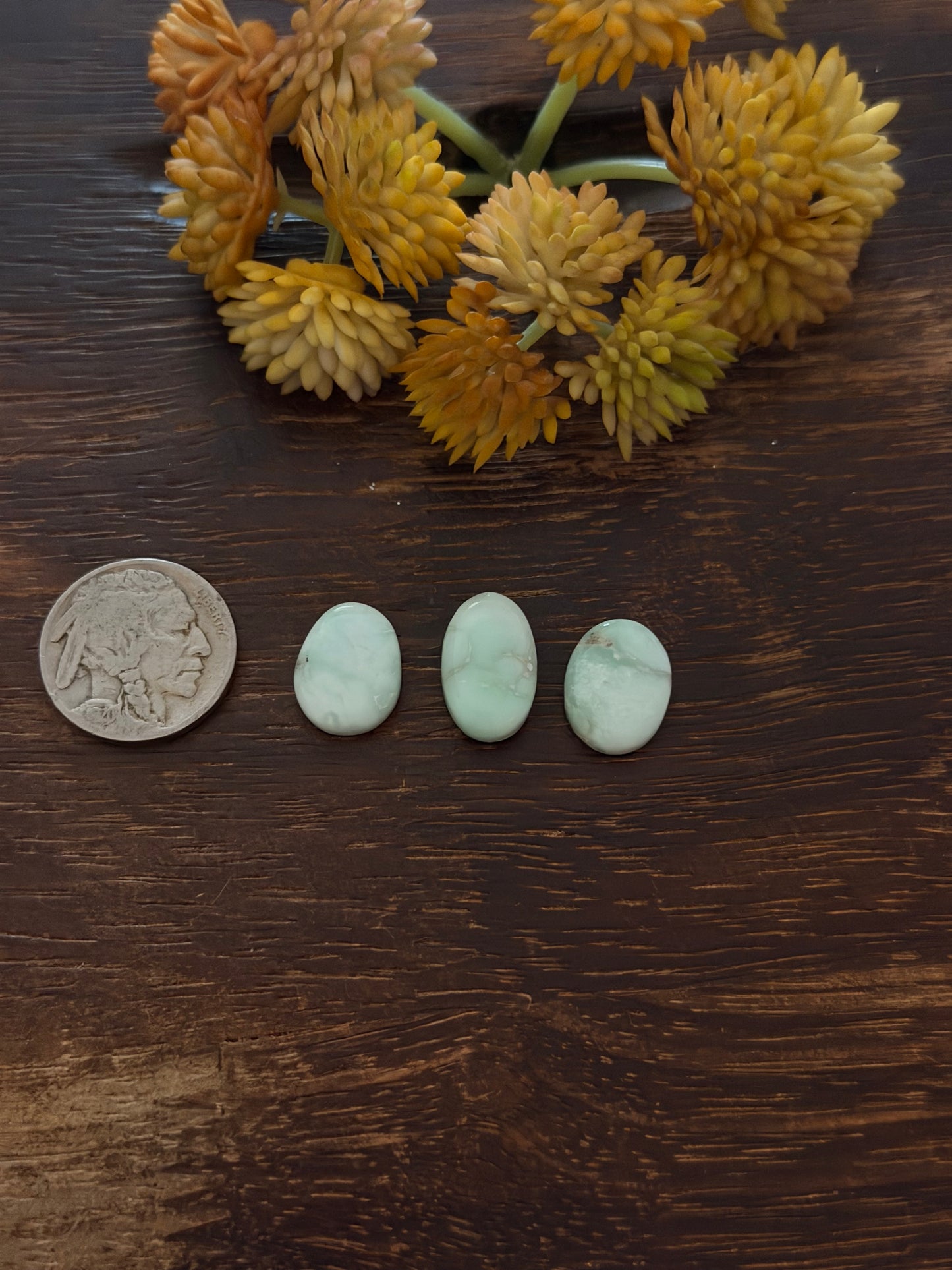 Paloma Variscite Cabs