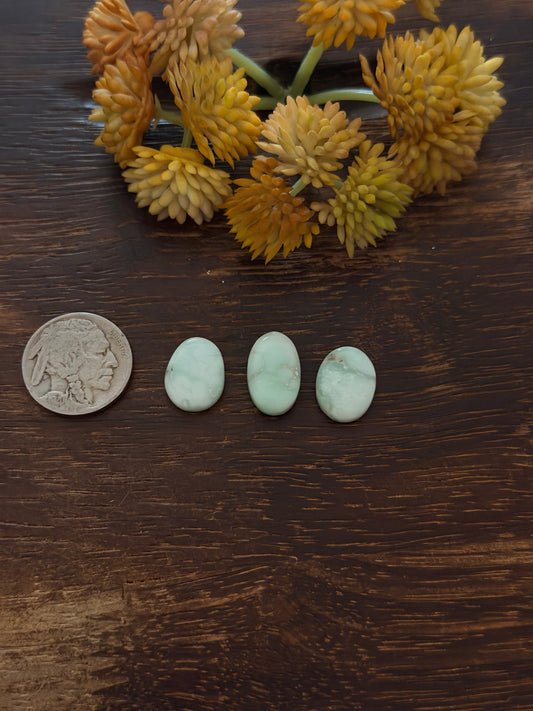 Paloma Variscite Cabs