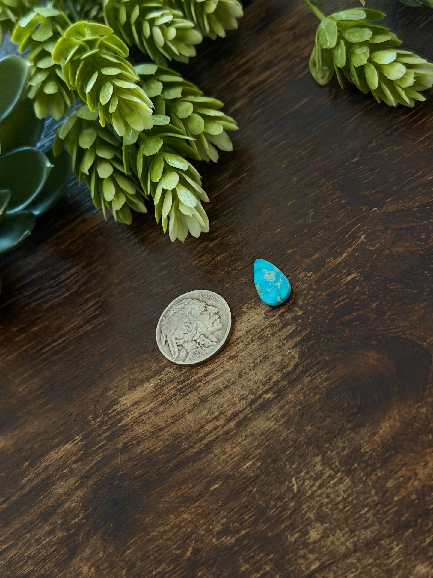 Blue Bird Turquoise Cab