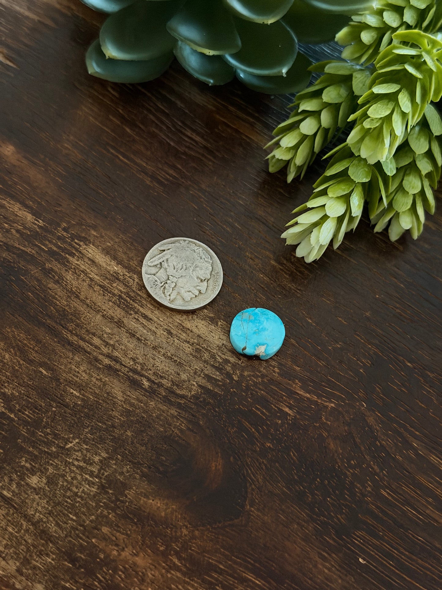 Blue Bird Turquoise Cab