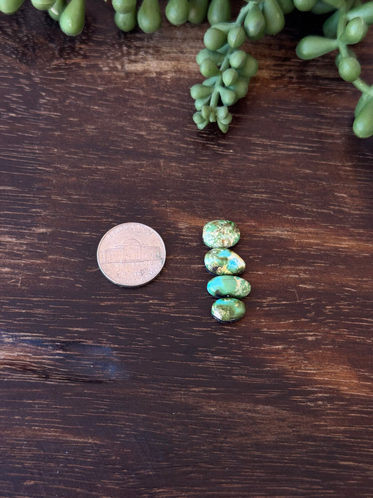 Sonoran Mountain Turquoise Cabs