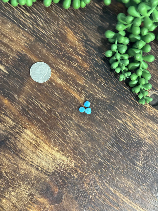 Golden Hills Turquoise Cabs