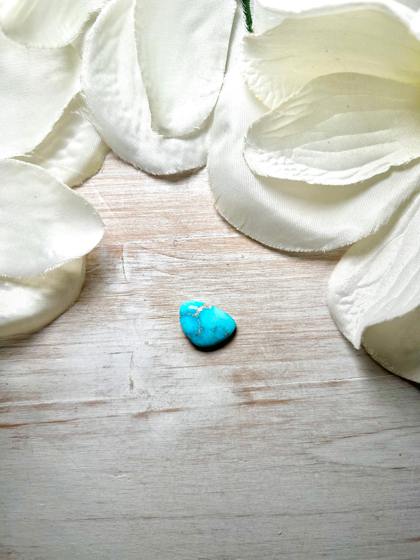 Blue Ridge Turquoise Cab