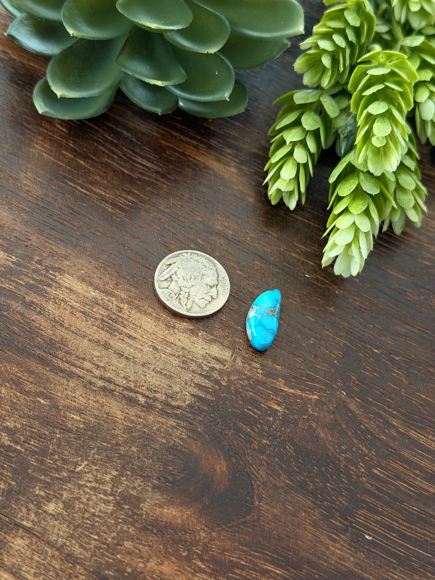 Blue Bird Turquoise Cab