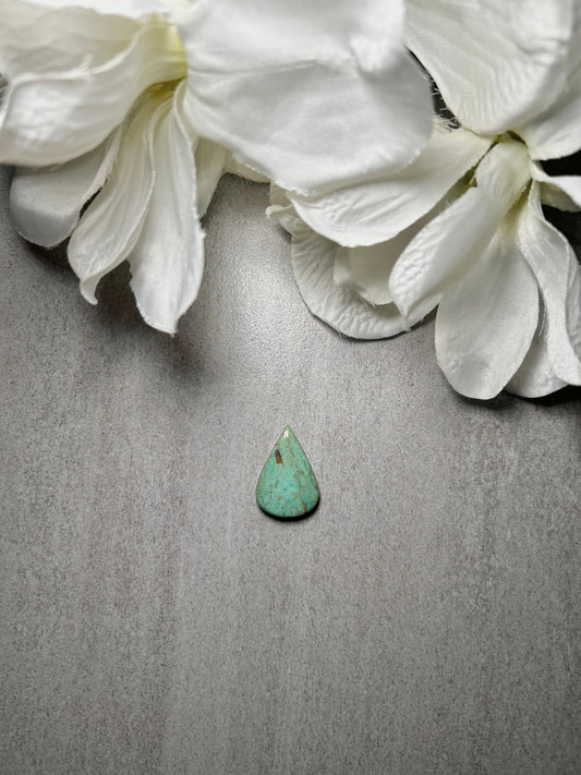 Kingman Turquoise Cab