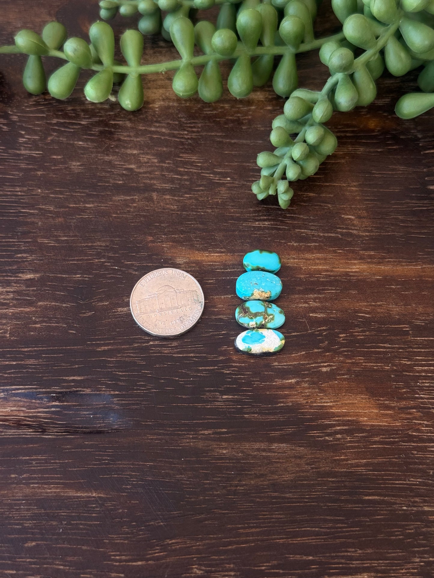 Sonoran Mountain Turquoise Cabs