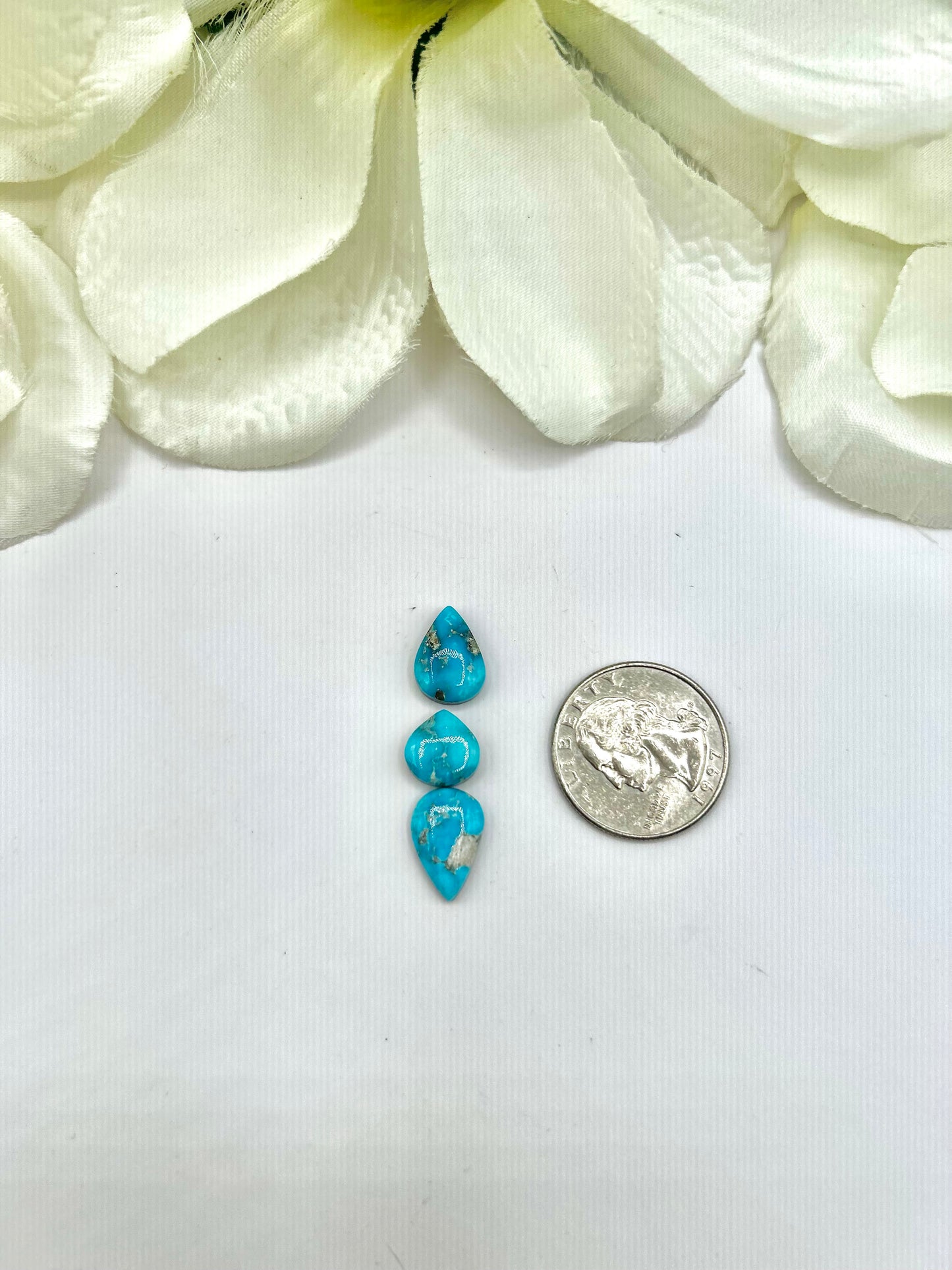 Blue Ridge Turquoise Cabs