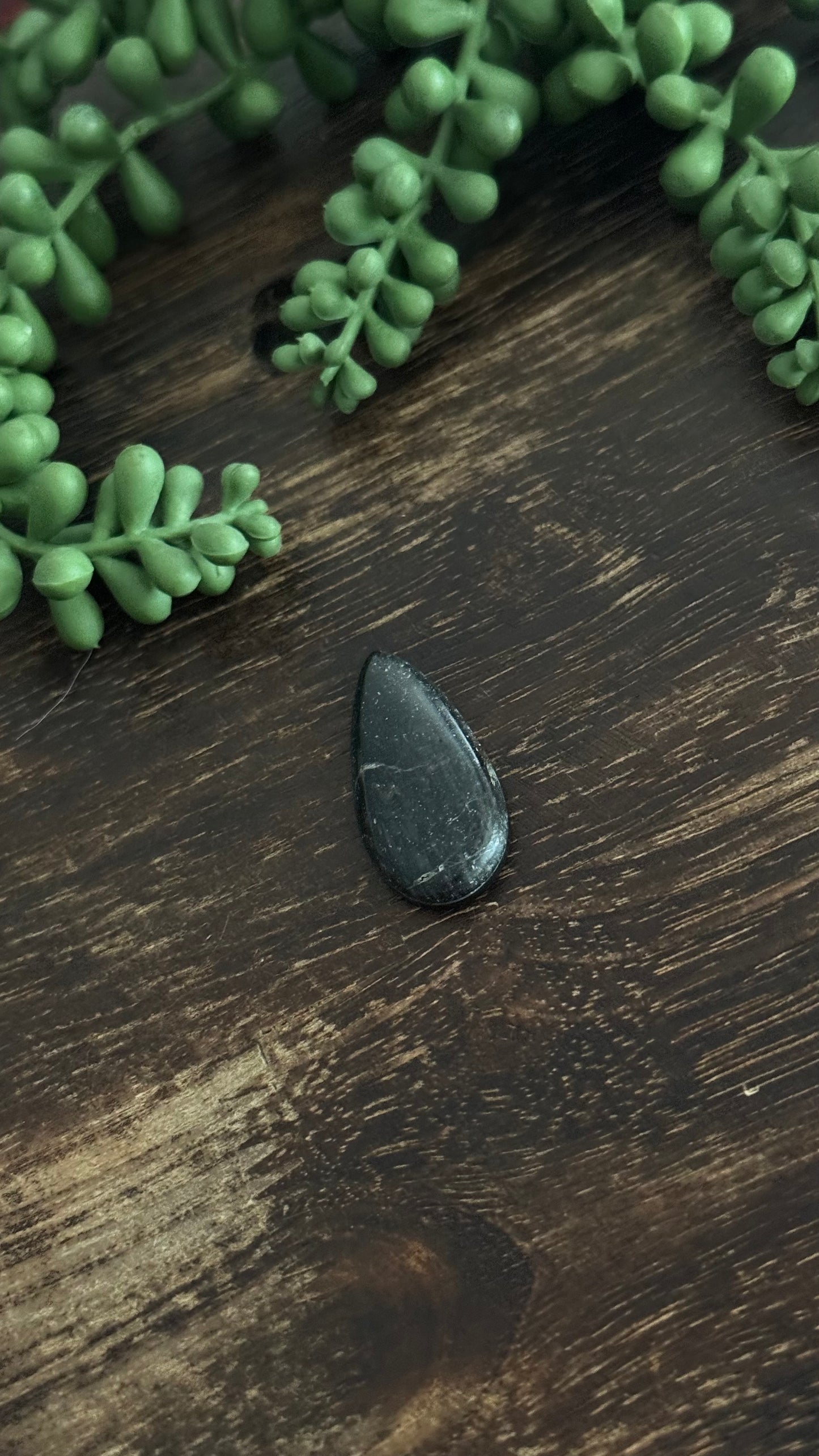 Black Jack Turquoise Cab