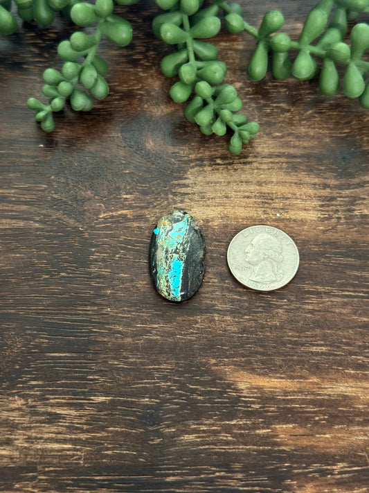 Black Jack Turquoise Cab