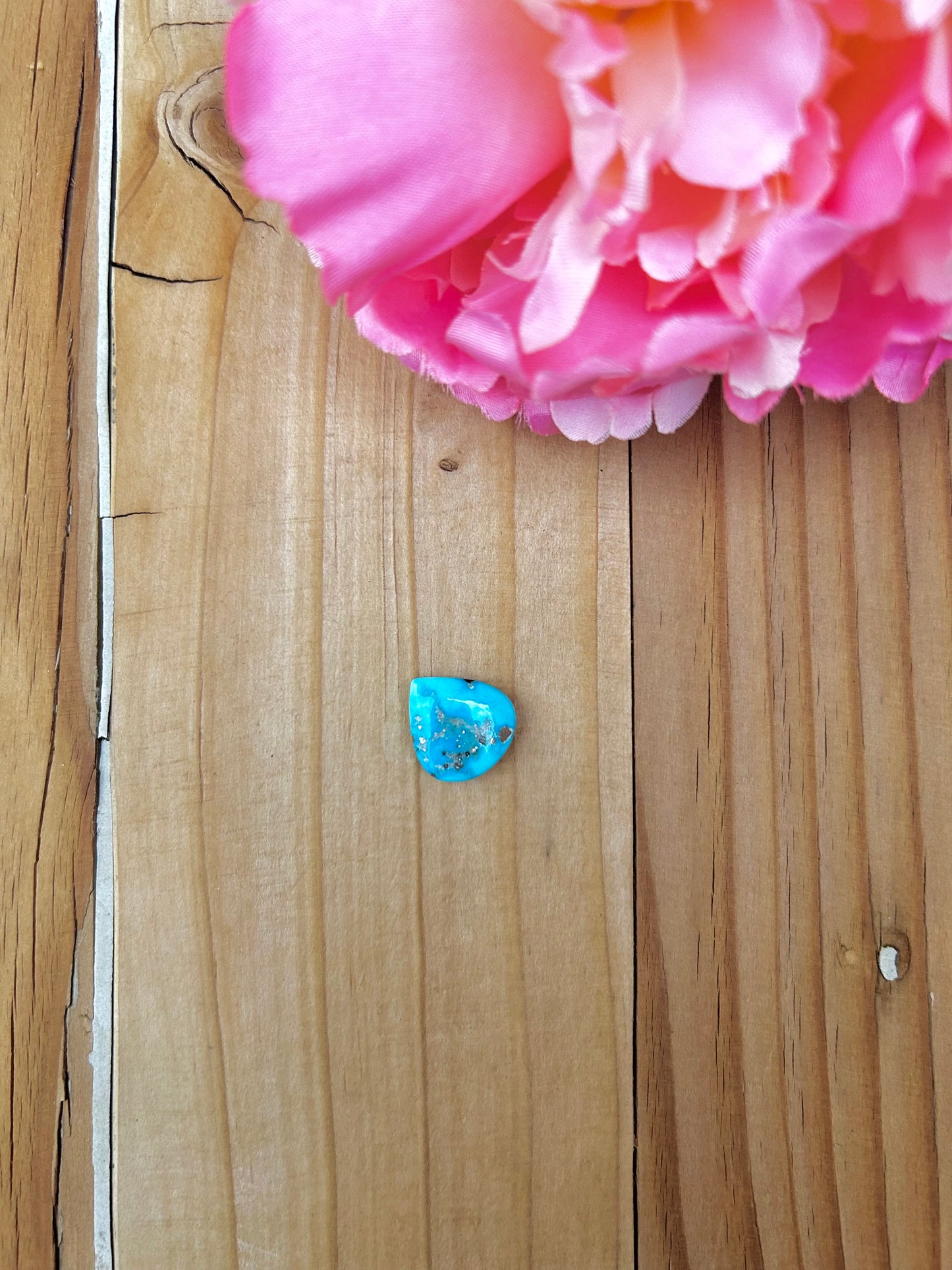 Blue Bird Turquoise Cabs