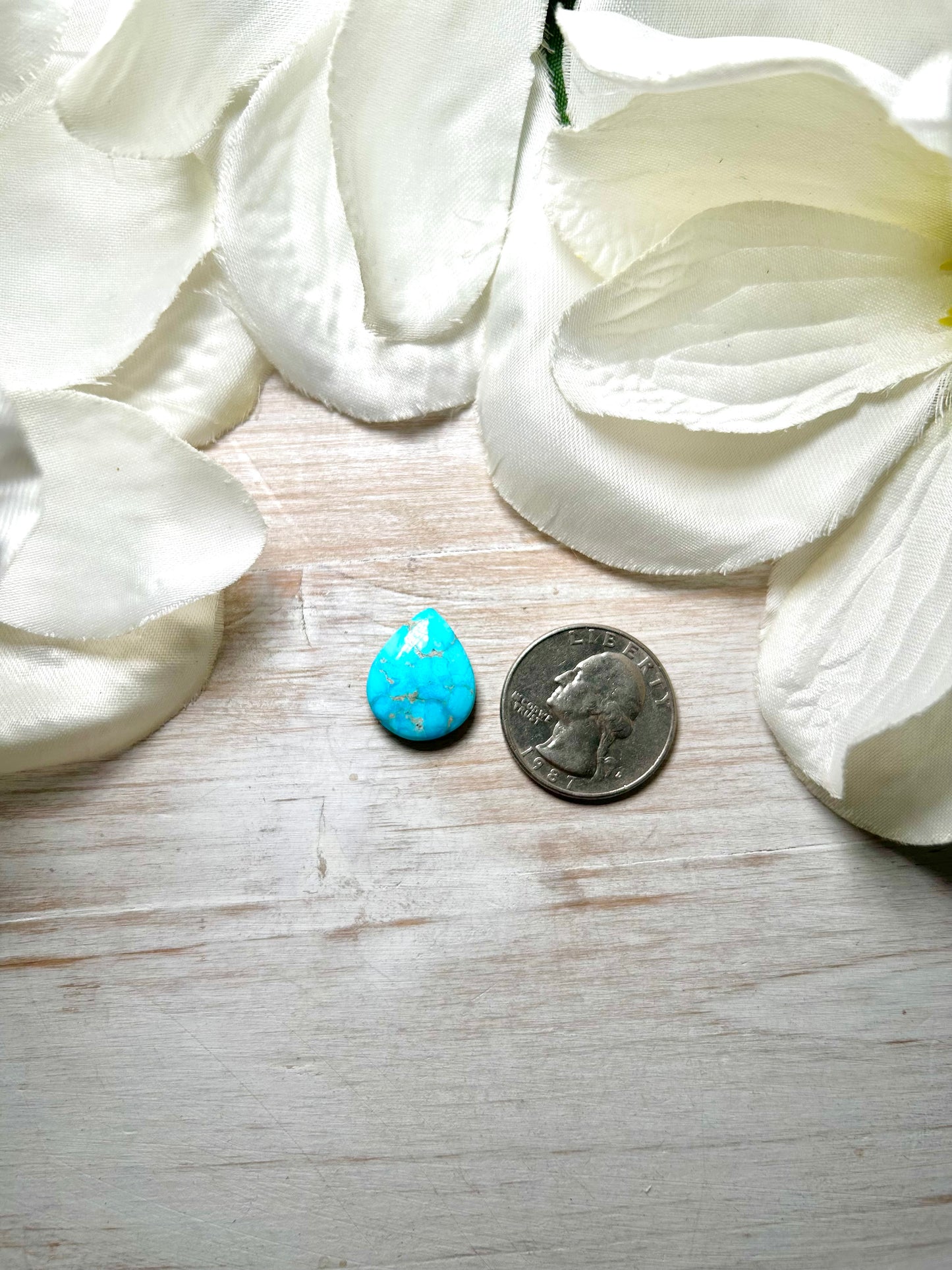 Blue Ridge Turquoise Cab