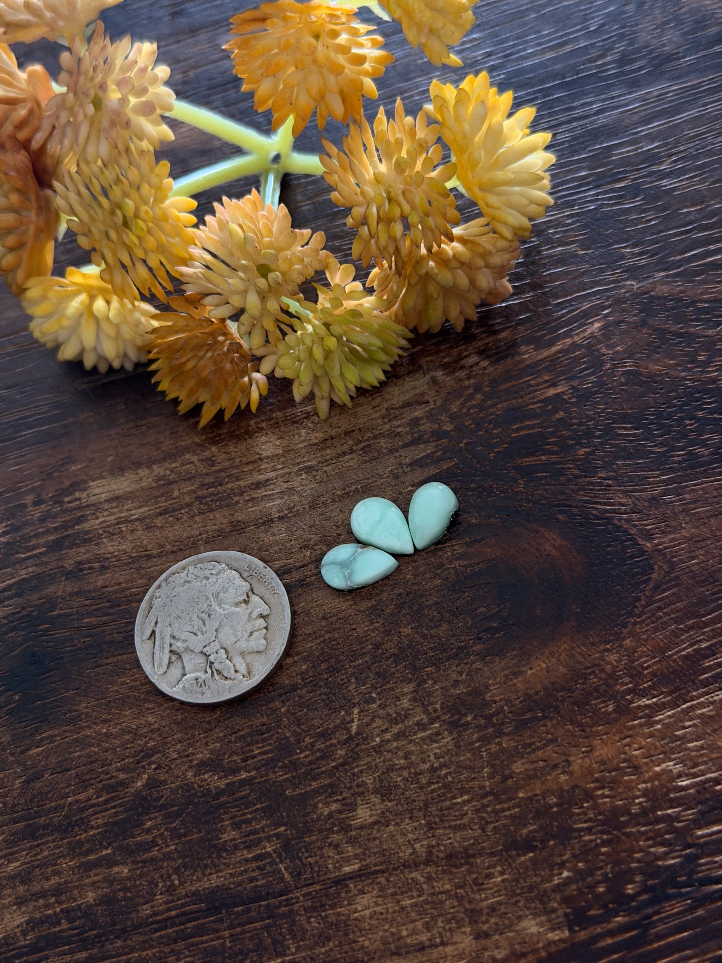 Paloma Variscite Cabs