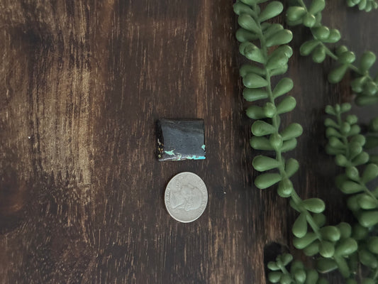 Black Jack Turquoise Cab