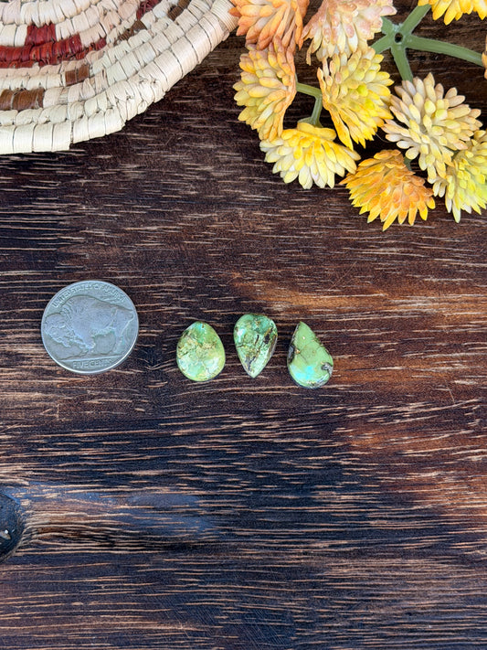 Sonoran Mountain Turquoise Cabs