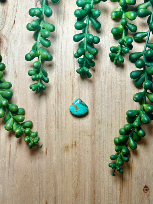 Kingman Turquoise Cab