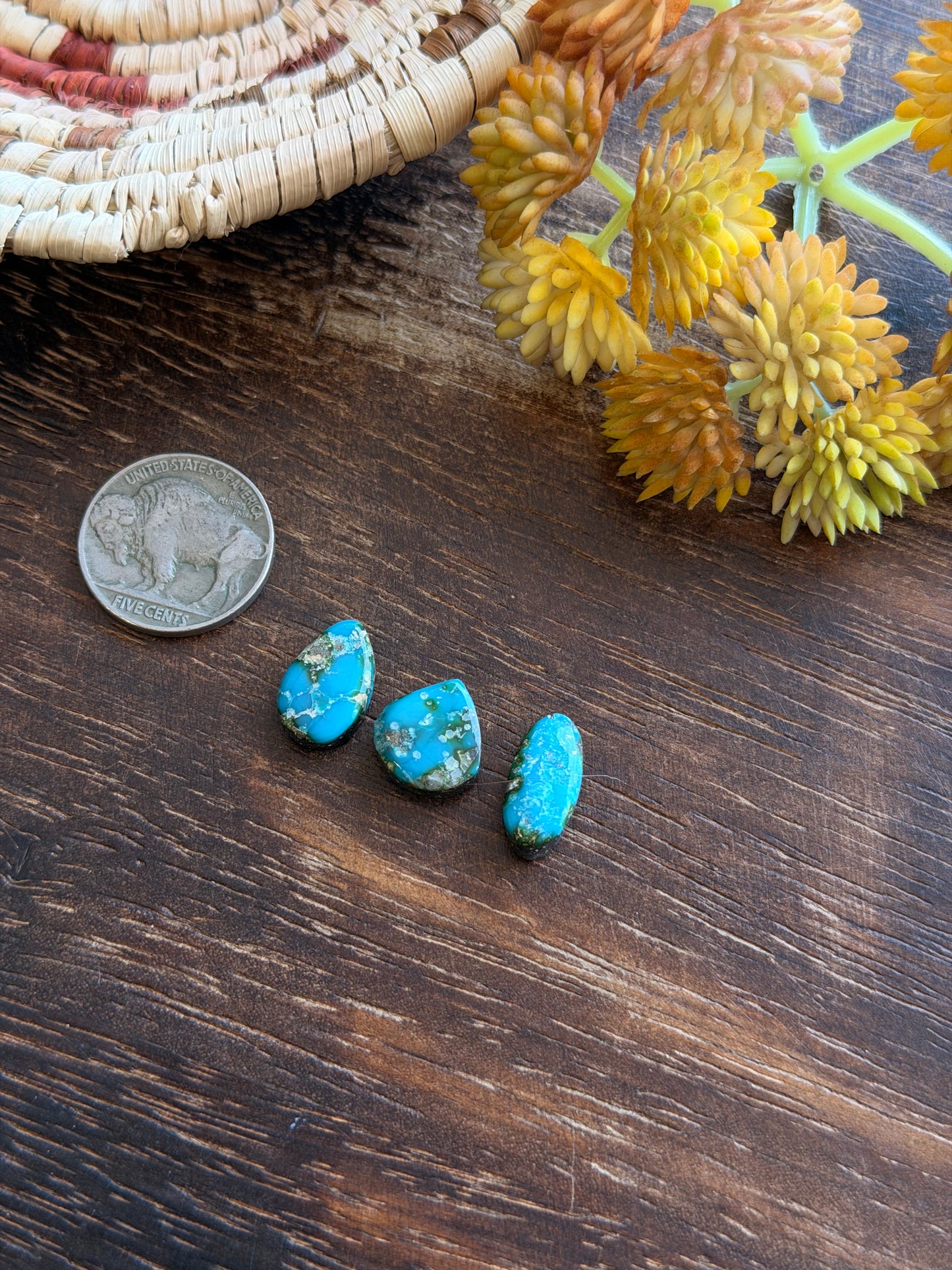 Sonoran Mountain Turquoise Cabs