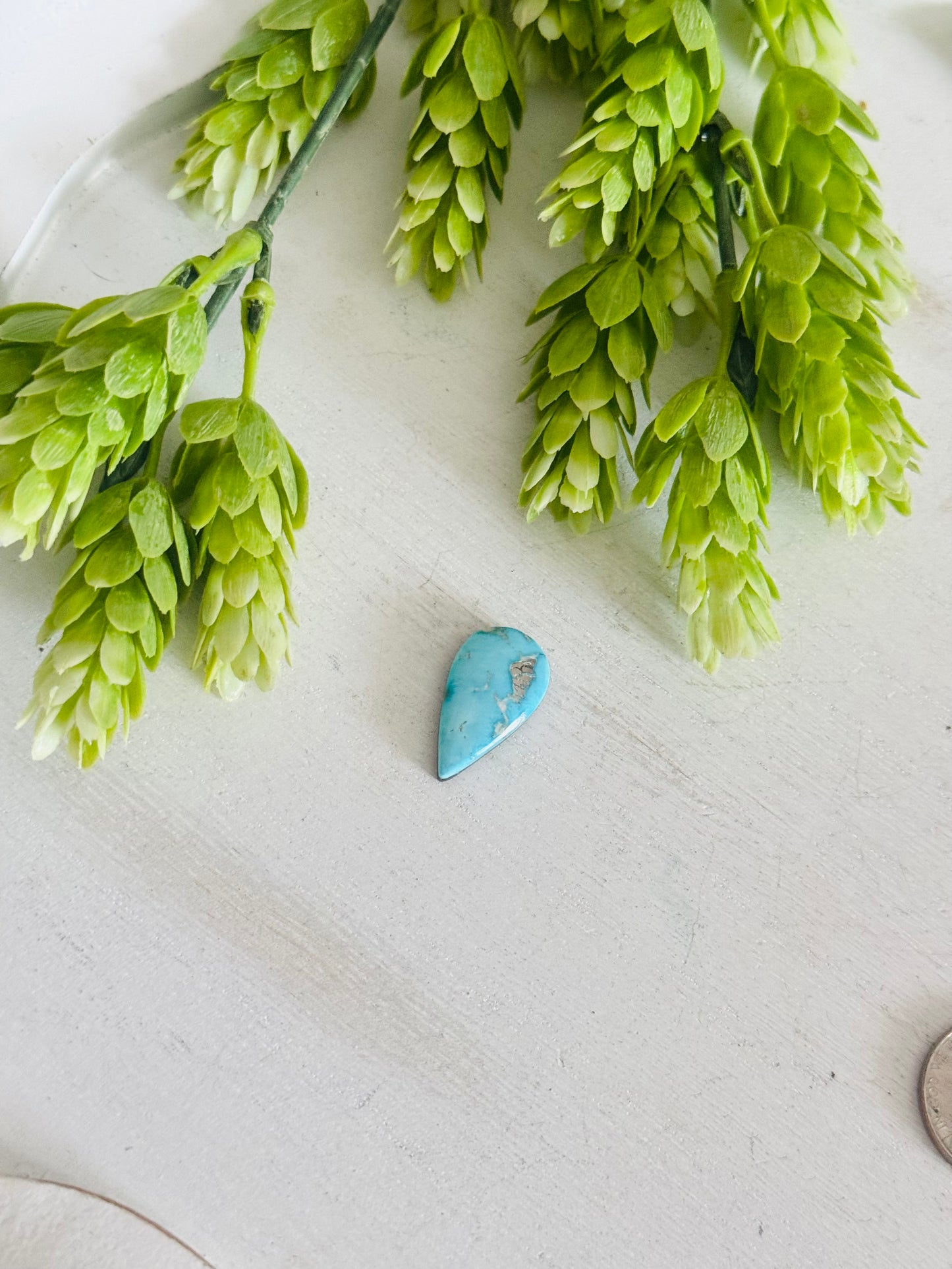 Blue Bird Turquoise Cab