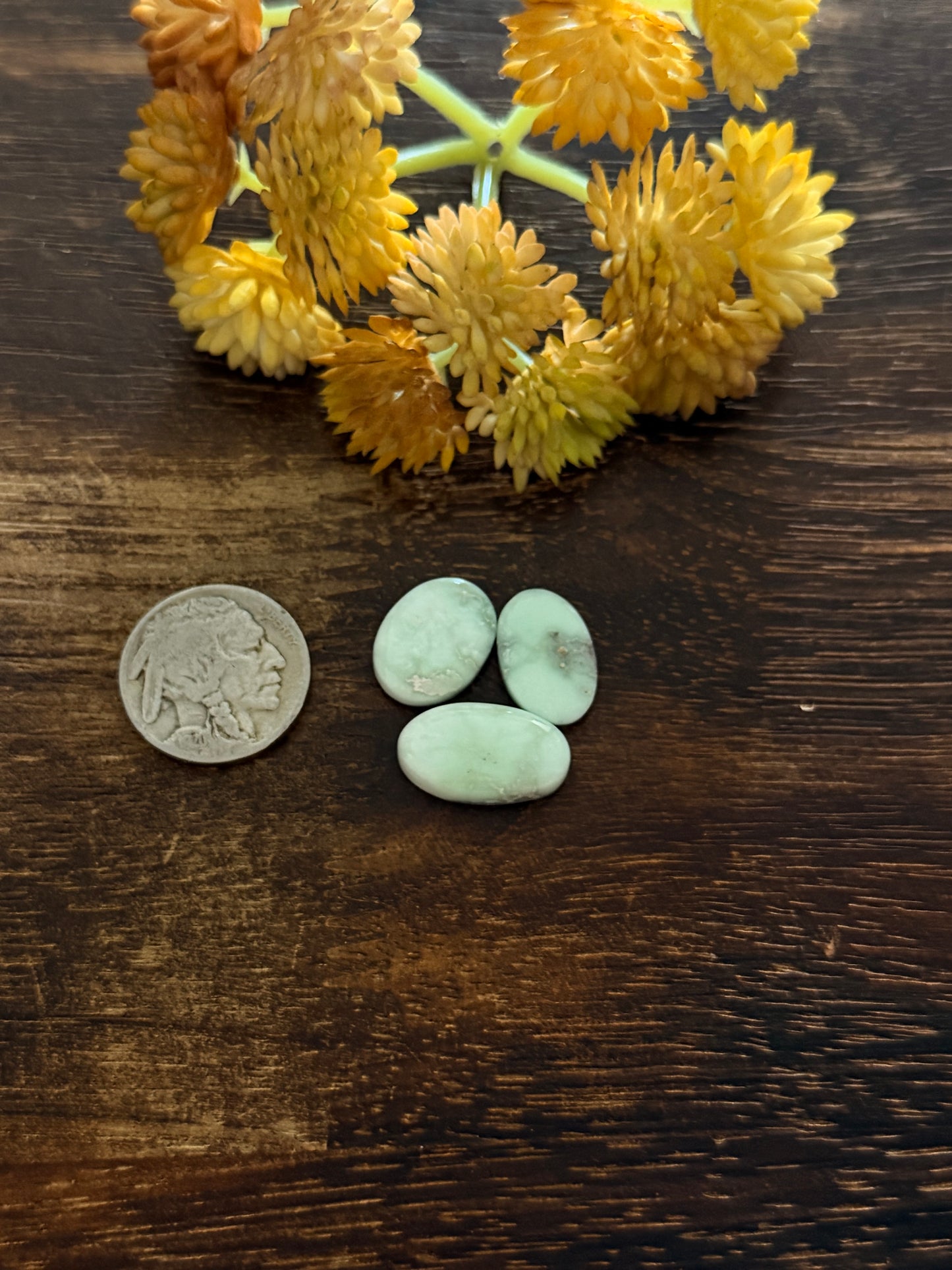 Paloma Variscite Cabs