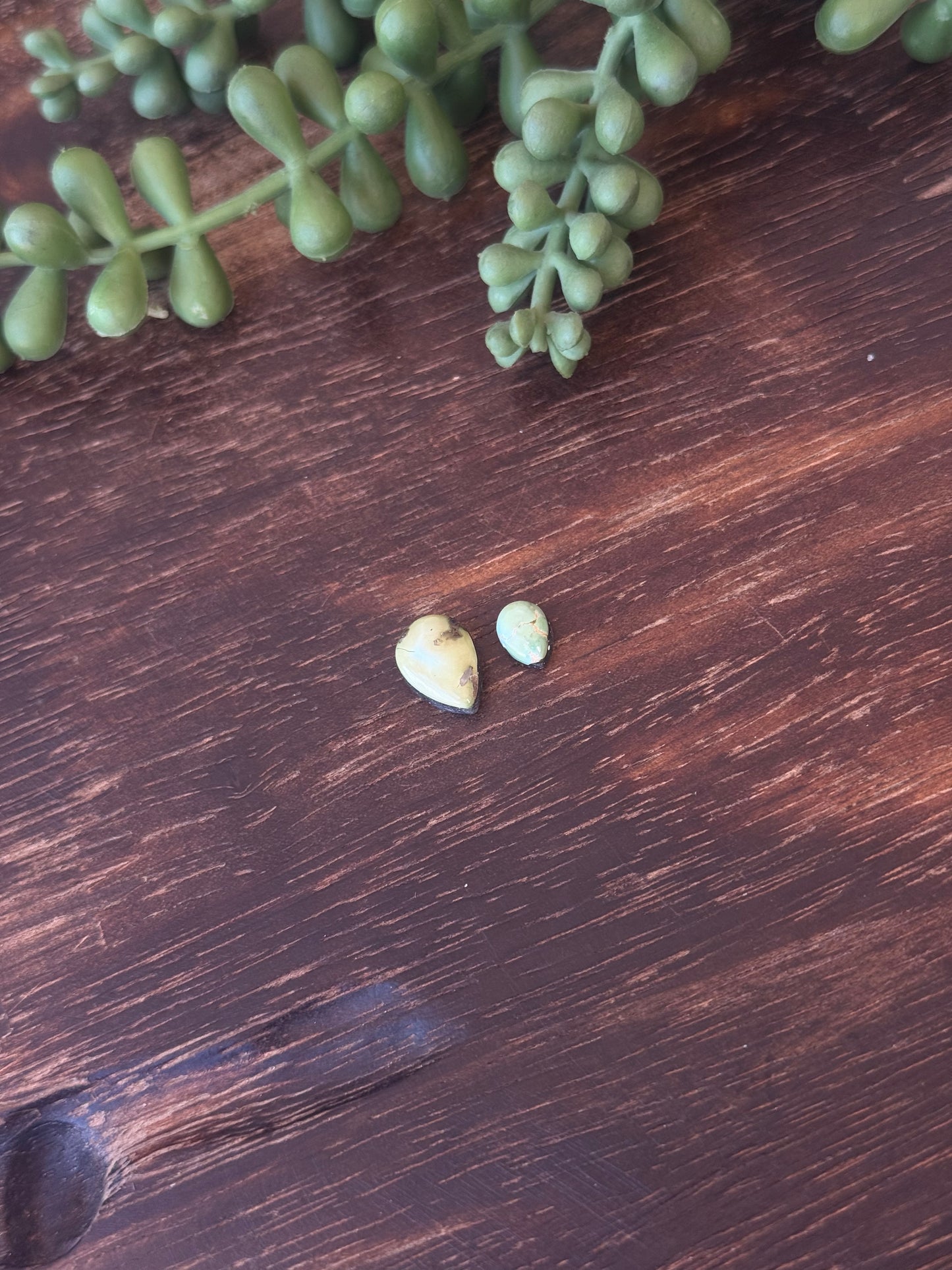 Sonoran Mountain Turquoise Cabs