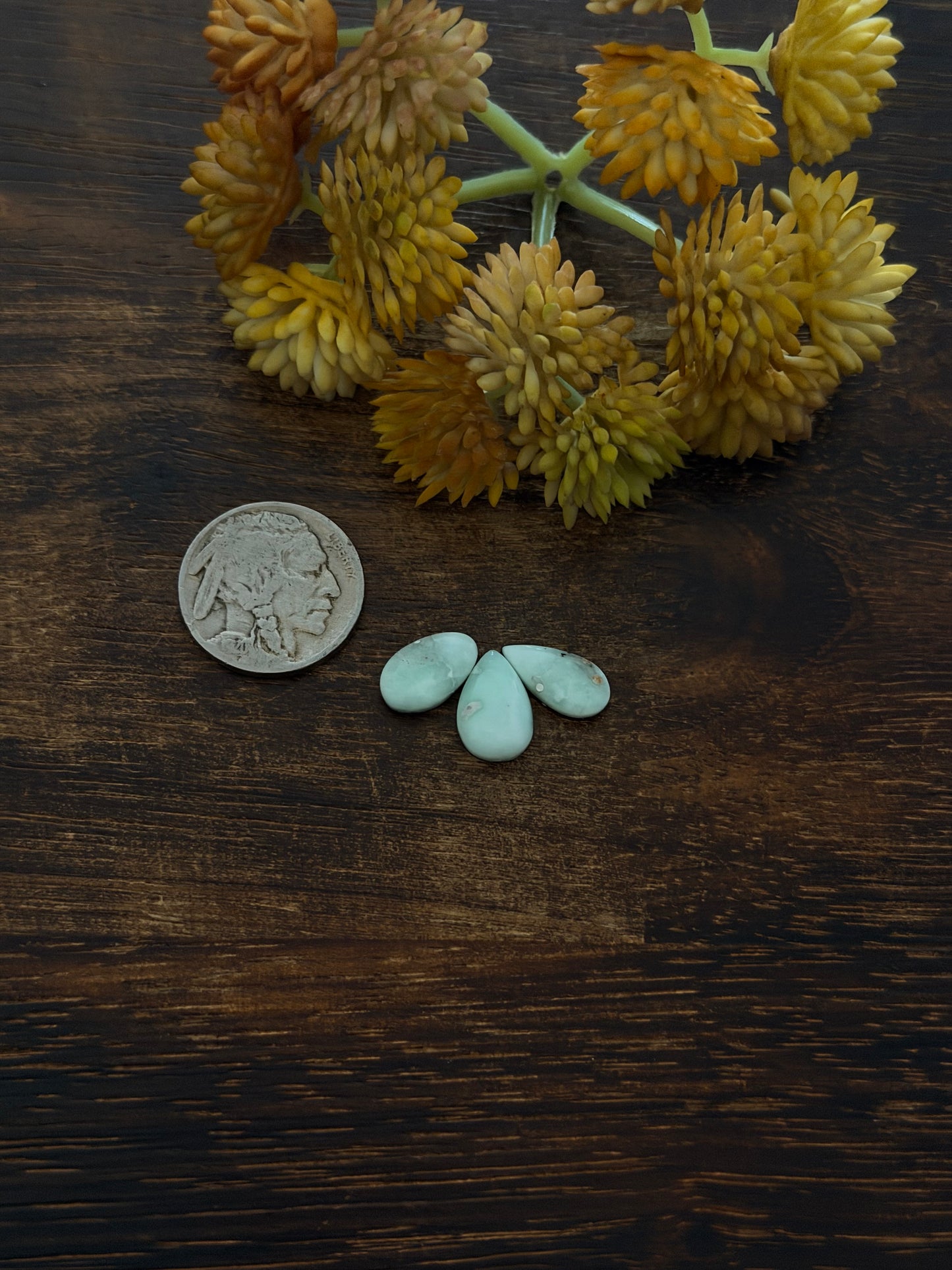 Paloma Variscite Cabs