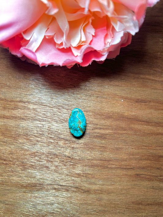 Kingman Turquoise Cabs
