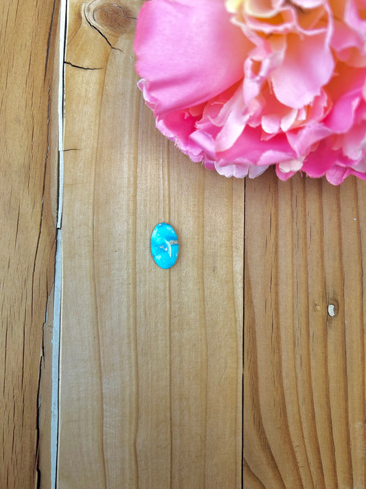 Blue Bird Turquoise Cabs