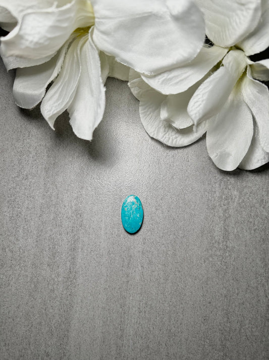 Kingman Turquoise Cab