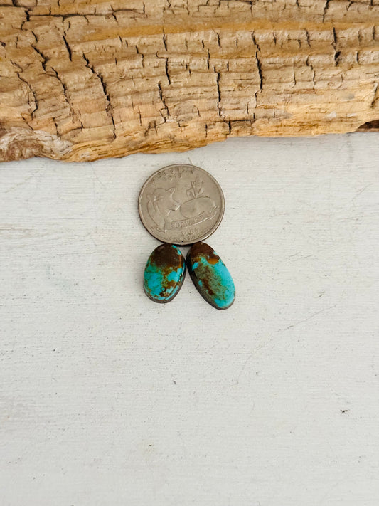 Natural Kings Manassa Turquoise Cabs