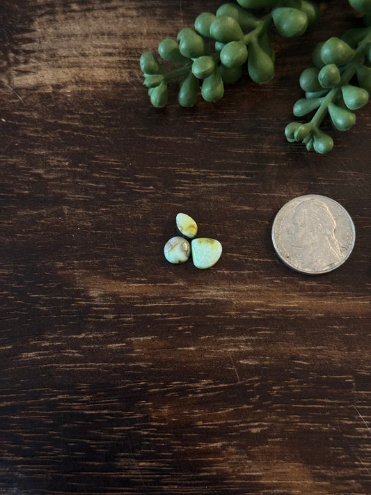 Palomino Variscite Cabs