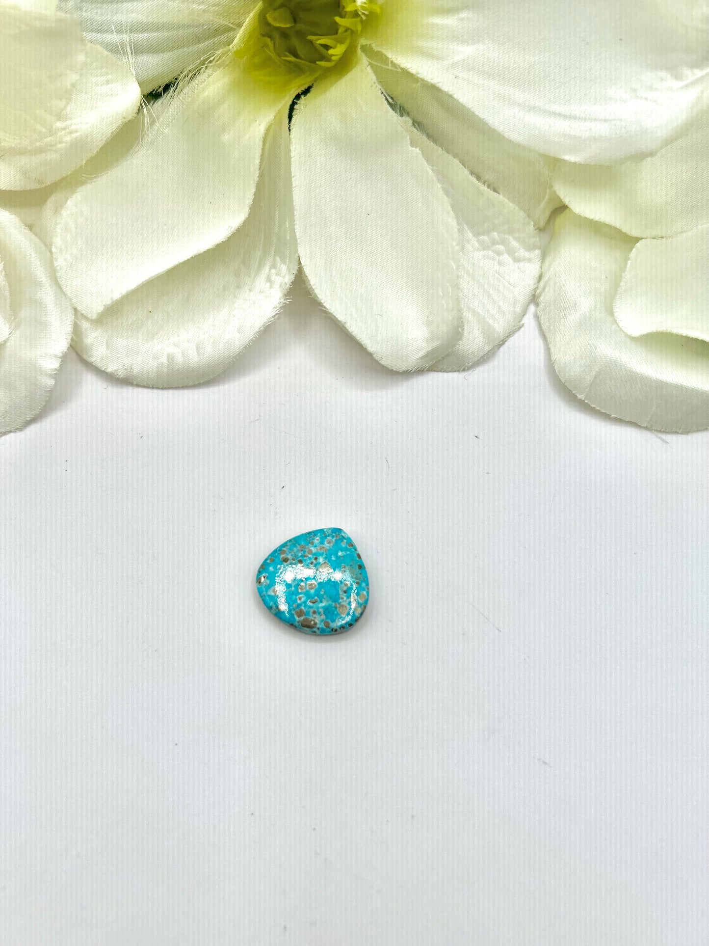 Blue Ridge Turquoise Cabs