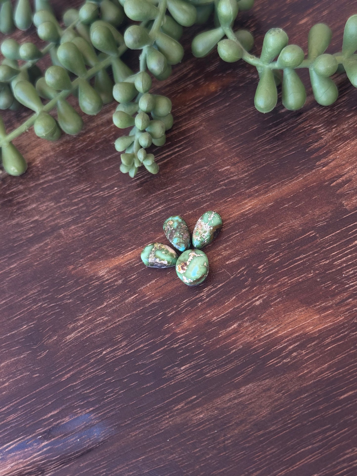 Sonoran Mountain Turquoise Cabs