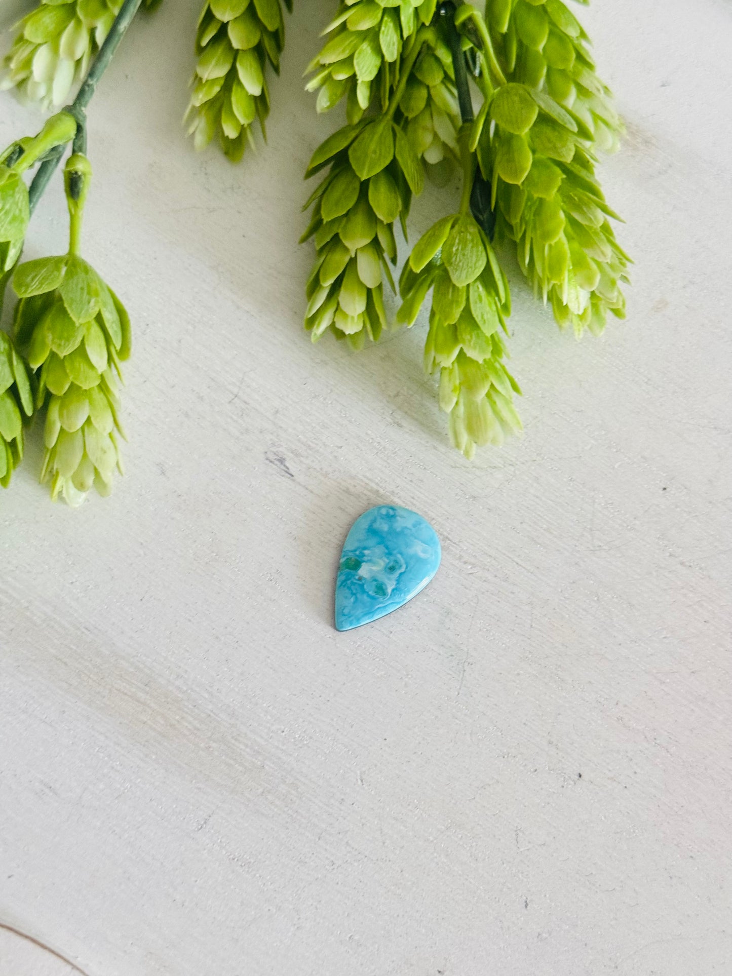 Blue Bird Turquoise Cab