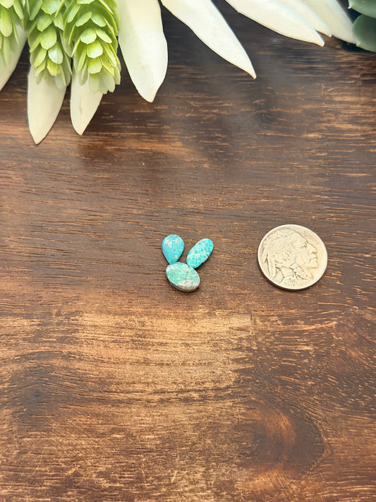 White Water Turquoise Cabs