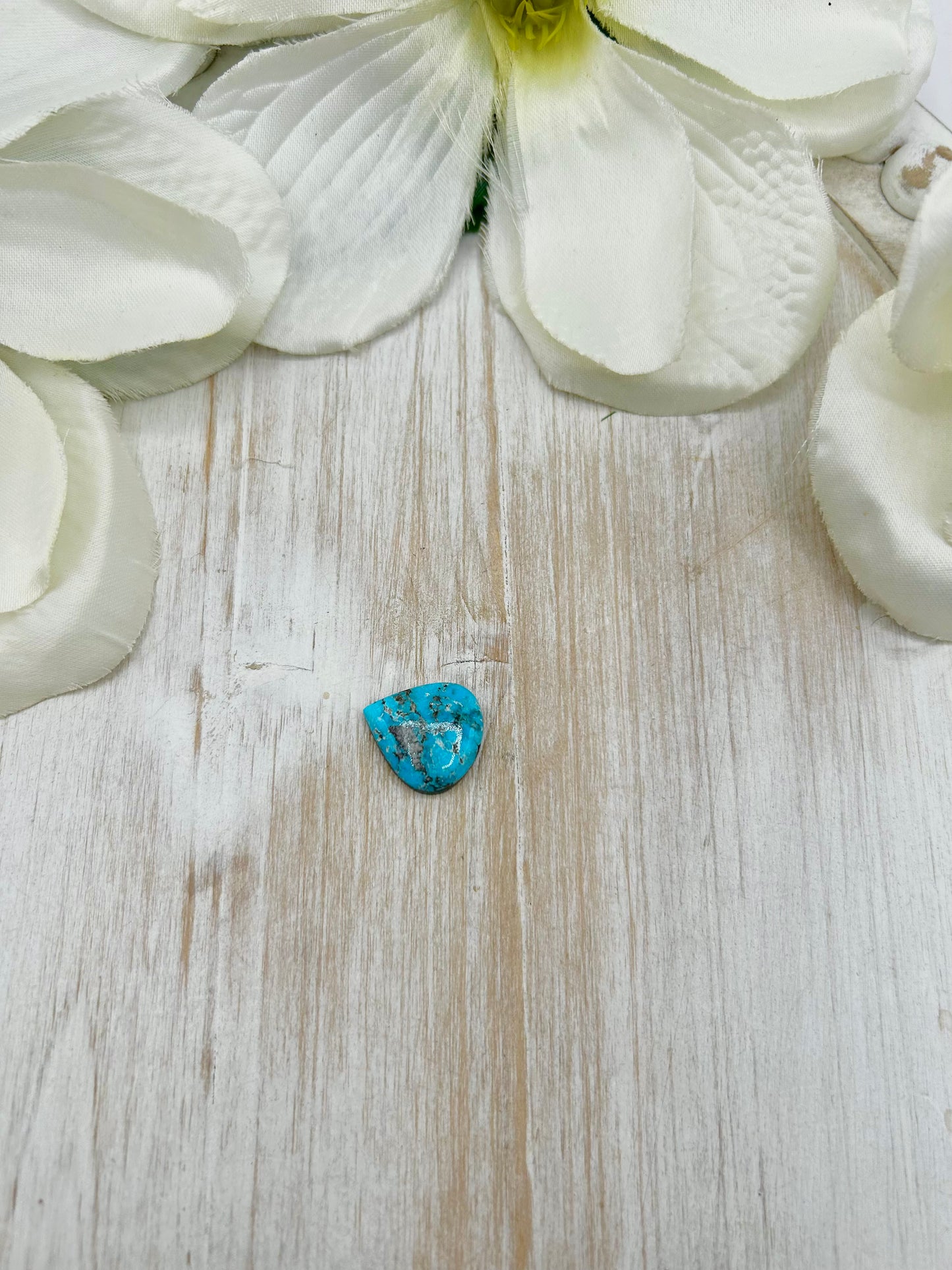 Blue Ridge Turquoise Cab