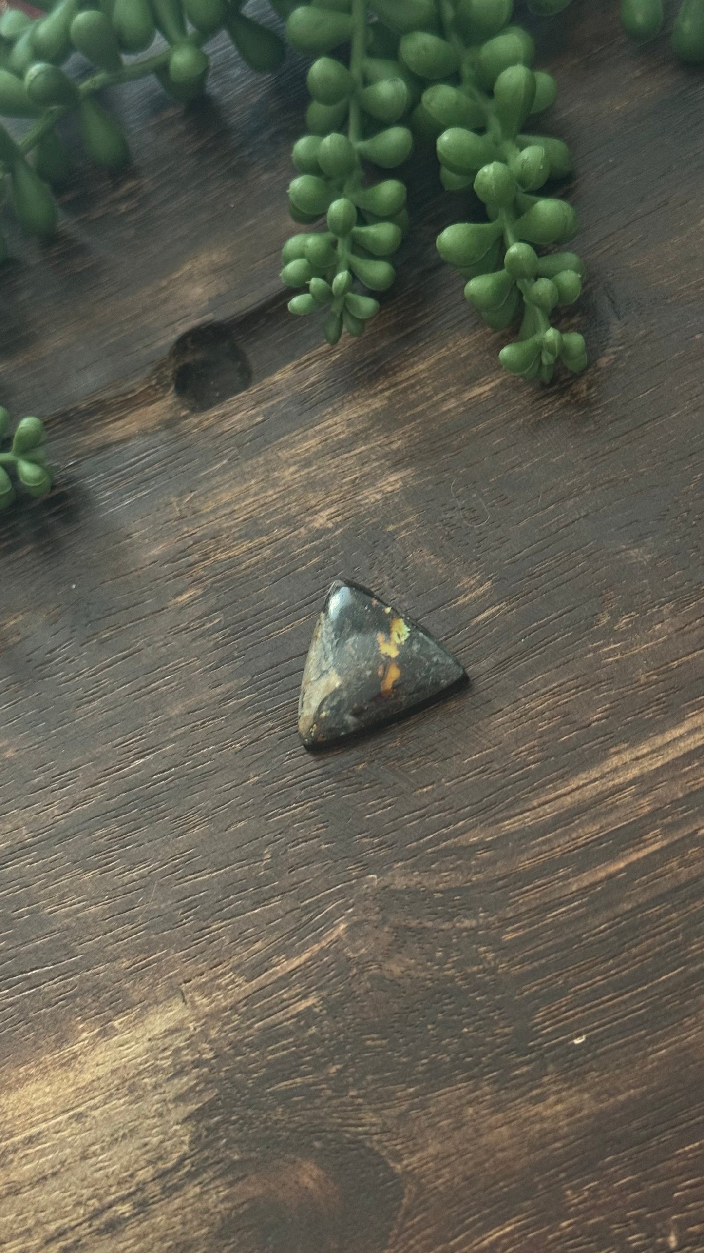 Black Jack Turquoise Cab